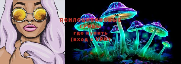 2c-b Лихославль