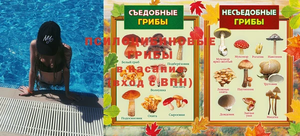 мдпв Липки
