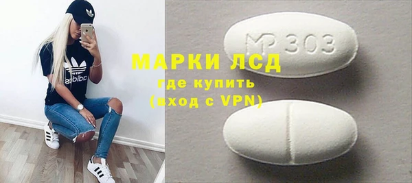 индика Грязовец