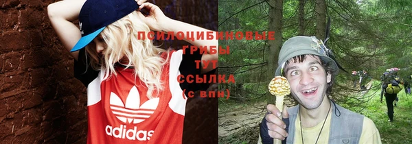 мдпв Липки