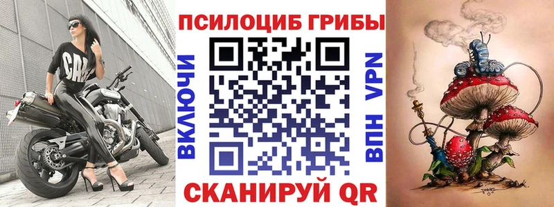 закладки  Нерчинск  Галлюциногенные грибы Psilocybe 